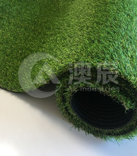 ACG170202 Landscaping Grass Normal