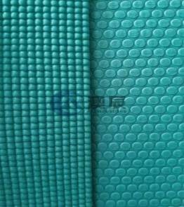 ACE13001-3 HIGH-DENSITY PVC YOGA MAT WITH DOUBLE-COLOR