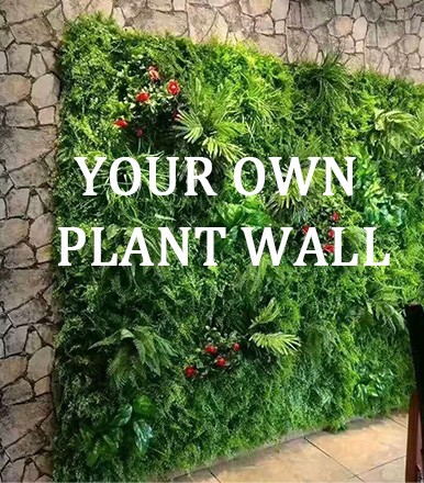 YOUR OWN PLANT WALL