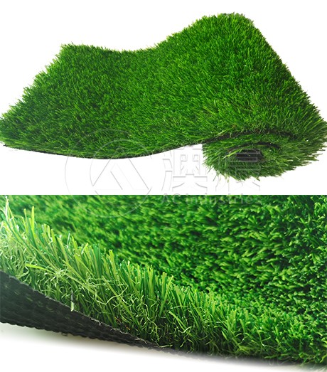 ACG170202 Landscaping Grass Normal