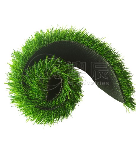 ACG170202 Landscaping Grass Normal