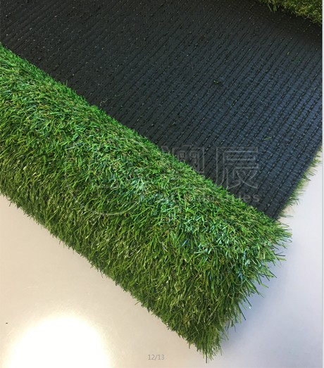 ACG170202-2 Natural landscape artificial grass