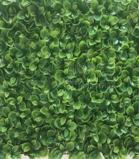 ACG1703-4 Artificial Plant Wall