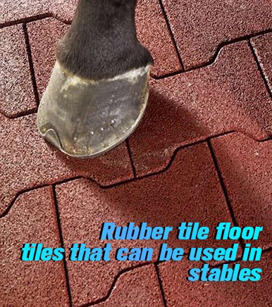 Rubber floor tile for stables, training, riding etc