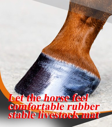 The Livestock Mat is a rubber mat designed to help make your horse’s life more comfortable.