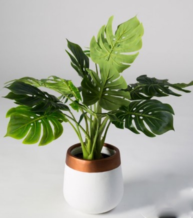 ACG1708-Artificial Plant Pots