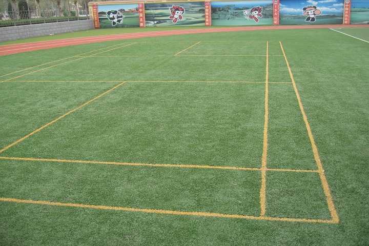 sports grass