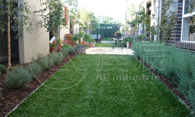 1702-1 Landscaping Grass Economical Type