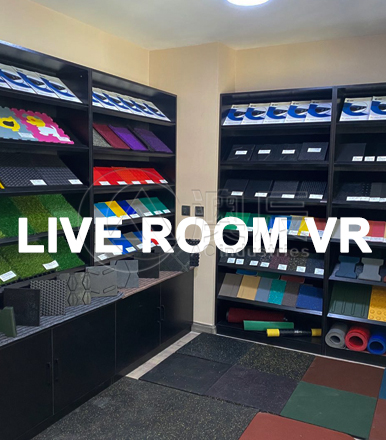 Live Room VR