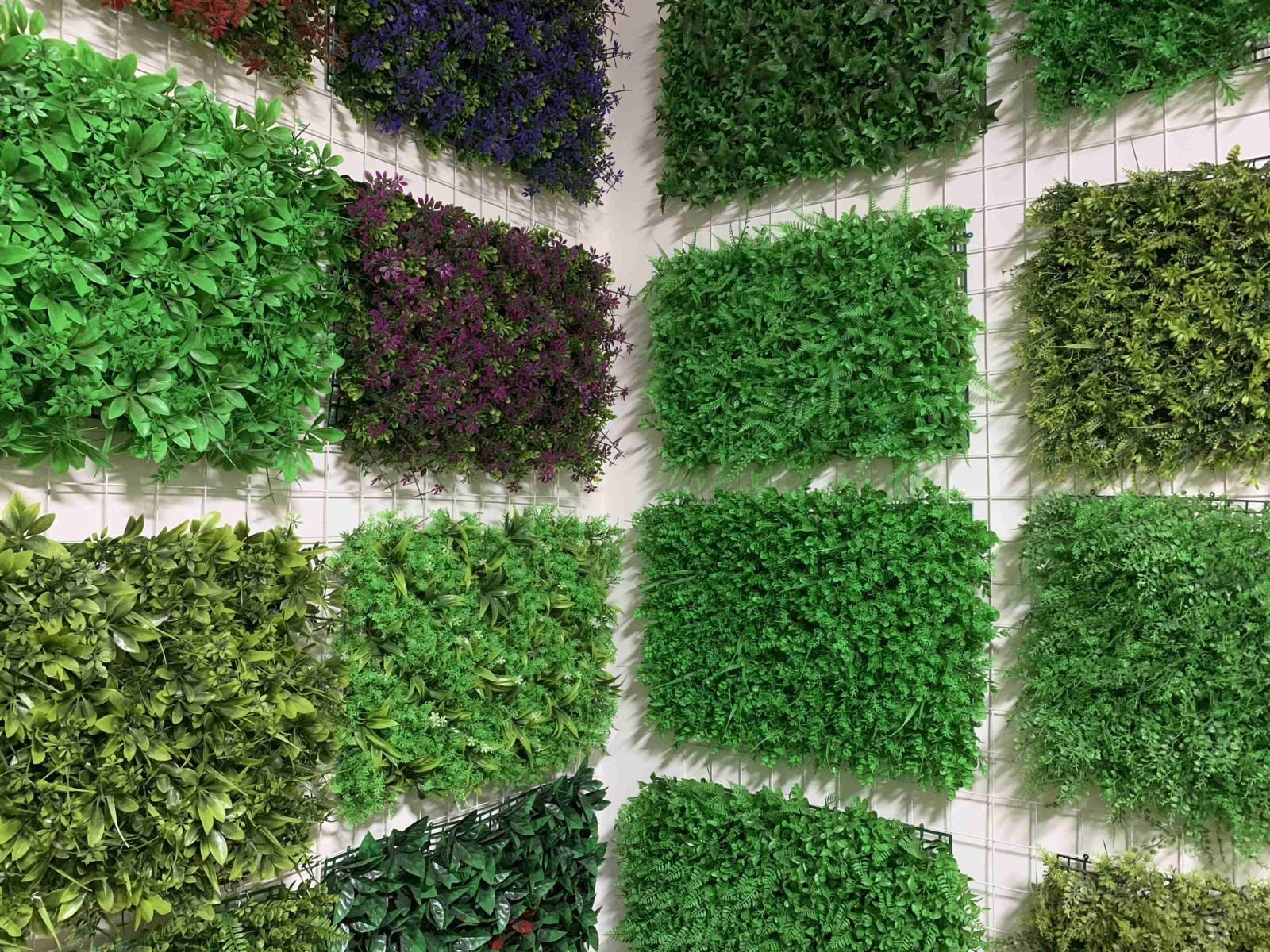 YOUR OWN PLANT WALL