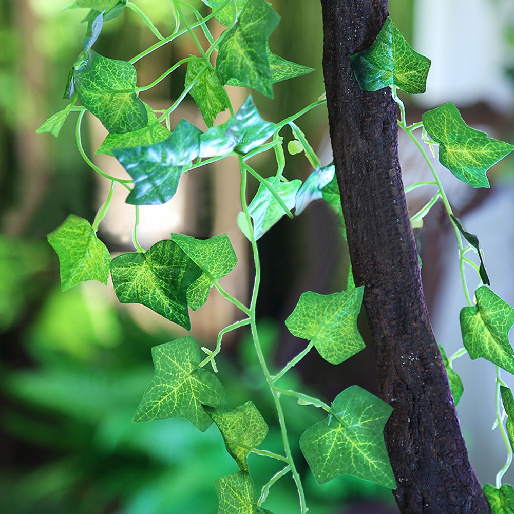 SIMULATION OF PLANT- VINES