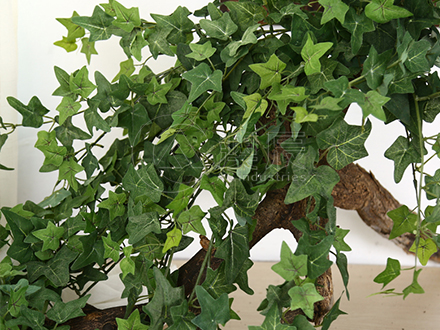 Artificial Vine Teaching