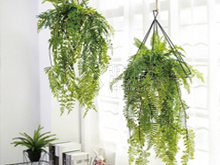 Artificial Hanging Plant Teaching