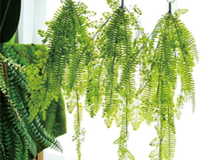 Artificial Hanging Plant Teaching