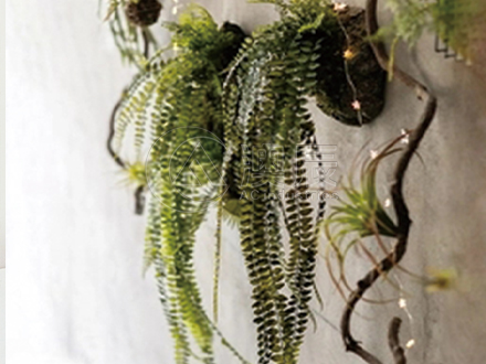 Artificial Hanging Plant Teaching