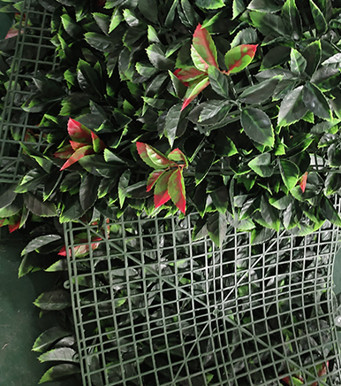 Artificial Plant Walls Receive High Praise and Become Long-Term Supply Partners